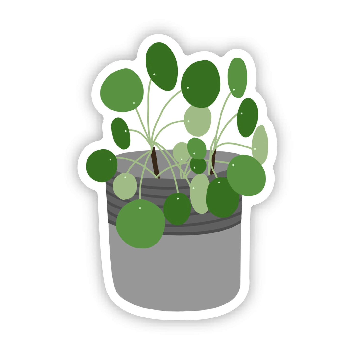 Pilea Plant în Pot Hand Illustrated Sticker