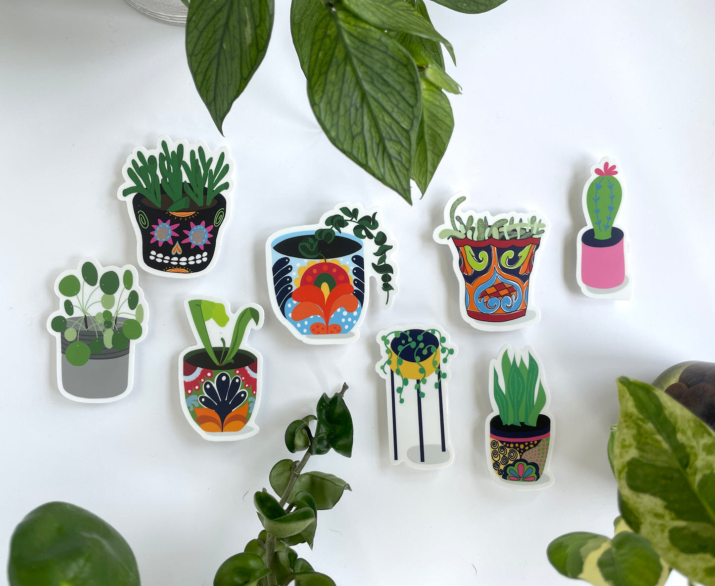 Pilea Plant în Pot Hand Illustrated Sticker